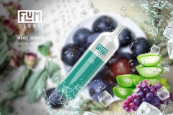 FLUM FLOAT 3000 PUFFS JHPL2 - Flum Pebble Ireland Aloe Grape