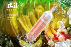 FLUM FLOAT 3000 PUFFS JHPL71 - Flum Pebble Ireland Strawberry Banana