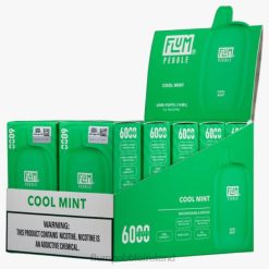 FLUM PEBBLES 6000 PUFFS 10 PACKS JHPL26 - Flum Pebble Ireland Cool Mint