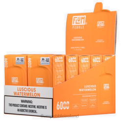 FLUM PEBBLES 6000 PUFFS 10 PACKS JHPL51 - Flum Pebbles Price Luscious Watermelon