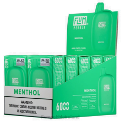 FLUM PEBBLES 6000 PUFFS 10 PACKS JHPL58 - Flum Pebbles Wholesale Menthol