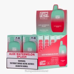 FLUM PEBBLES 6000 PUFFS 10 PACKS JHPL5 - Flum Pebble Ireland Aloe Watermelon Splash