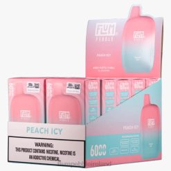 FLUM PEBBLES 6000 PUFFS 10 PACKS JHPL61 - Flum Pebbles Wholesale Peach Icy