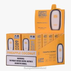 FLUM PEBBLES 6000 PUFFS 10 PACKS JHPL66 - Flum Pebbles Price Pineapple Coconut
