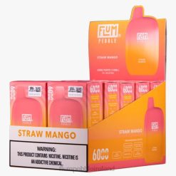 FLUM PEBBLES 6000 PUFFS 10 PACKS JHPL69 - Flum Pebbles Price Straw Mango