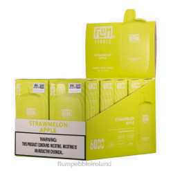 FLUM PEBBLES 6000 PUFFS 10 PACKS JHPL79 - Flum Pebbles Wholesale Strawmelon Apple