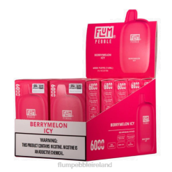 FLUM PEBBLES 6000 PUFFS 10 PACKS JHPL8 - Flum Pebble Ireland Berrymelon Icy