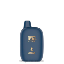 FLUM PEBBLES 6000 PUFFS (Christmas Edition) JHPL41 - Flum Pebble Ireland Pineapple Coconut