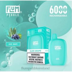 FLUM PEBBLES 6000 PUFFS JHPL1 - Flum Pebbles Wholesale Aloe Grape
