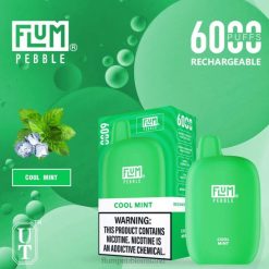 FLUM PEBBLES 6000 PUFFS JHPL24 - Flum Pebbles Price Cool Mint