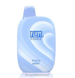 FLUM PEBBLES 6000 PUFFS JHPL39 - Flum Pebbles Price Peach Berry