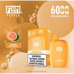 FLUM PEBBLES 6000 PUFFS JHPL50 - Flum Pebble Ireland Luscious Watermelon