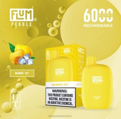 FLUM PEBBLES 6000 PUFFS JHPL53 - Flum Pebble Ireland Mango Icy