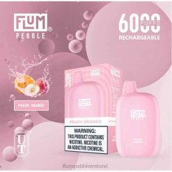 FLUM PEBBLES 6000 PUFFS JHPL60 - Flum Pebbles Price Peach Icy