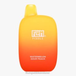 FLUM PEBBLES 6000 PUFFS JHPL86 - Flum Pebble Ireland Watermelon Sour Peach