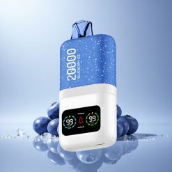 Aivono Aim Magic 20000 Puffs Blueberry Ice Dual Mesh LCD 600mAh