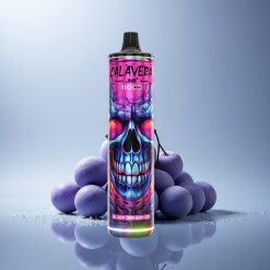 JNR Calavera 11000 Black Dragon Ice 850mAh 21ml Mesh Coil