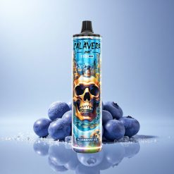 JNR Calavera 11000 Blueberry Ice 850mAh 5% Nicotine