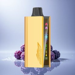 JNR Cruiser 12000 Blackberry Ice Dual Mesh 3500mAh