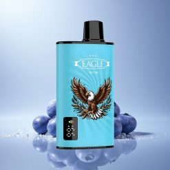 JNR EAGLE Smart 23000 Blueberry Ice 750mAh 2% Nicotine
