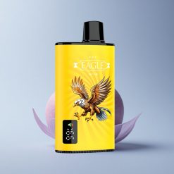 JNR EAGLE Smart 23000 Double Apple Adjustable Airflow 750mAh