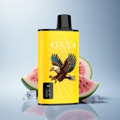 JNR EAGLE Smart 23000 Kiwi Watermelon Ice 750mAh Adjustable Airflow