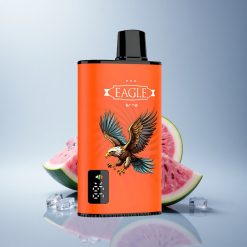 JNR EAGLE Smart 23000 Watermelon Ice 750mAh 25ml