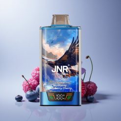JNR Falcon Pro 28000 Blueberry Raspberry Cherry 30ml 950mAh