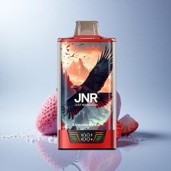 JNR Falcon Pro 28000 Strawberry Ice Dual Mesh 950mAh