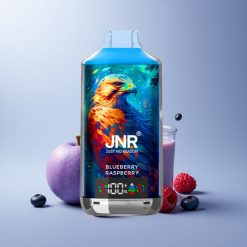 JNR Falcon X 18000 Blue Raspberry Dual Mesh 750mAh 24ml 5% Nicotine