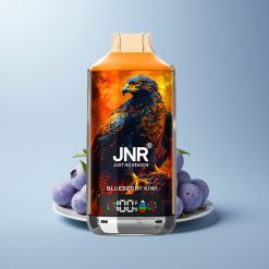 JNR Falcon X 18000 Blueberry Kiwi 750mAh 24ml Dual Mesh Nicotine
