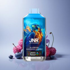 JNR Falcon X 18000 Blueberry Raspberry Cherry 750mAh 24ml Dual Mesh Coil Digital Display Type-C Nicotine 0% 2% 5%