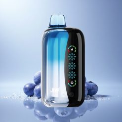 JNR Flex Ice 21000 Blueberry Ice Adjustable Airflow 1000mAh