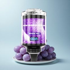 JNR Mega Shisha Hookah 100K Grape Mint 60ml 2200mAh