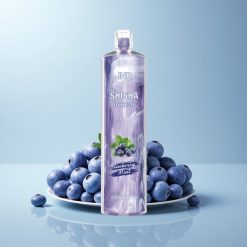 JNR Shisha Hookah 12000 Blueberry Mint 24ml 750mAh