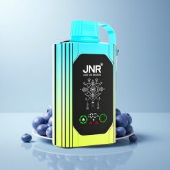 JNR Shisha Hookah Box 20500 Blueberry Mint HD Display 1000mAh Dual Mesh Coil