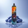 JNR Wolf Niplo 10000 Blueberry On Ice 20ml 650mAh 2% Nicotine